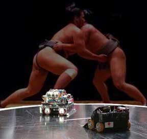 Image of Robot Sumo